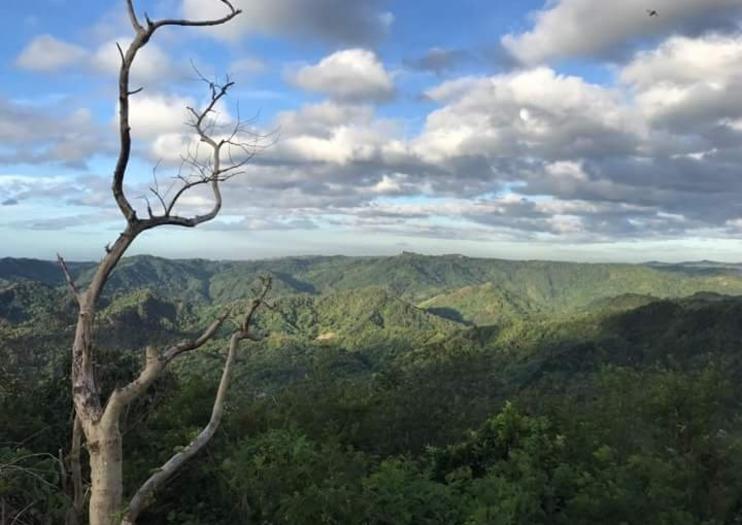 Mt. Purro Nature Reserve
